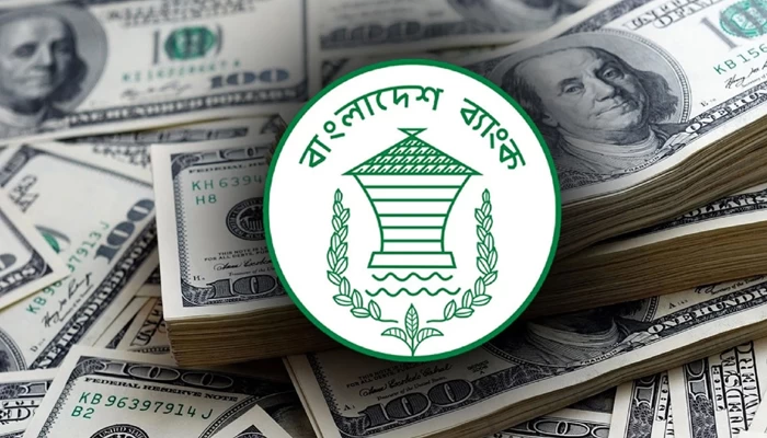 ১১ দিনে রেমিট্যান্স বেড়েছে ৪৪ শতাংশ